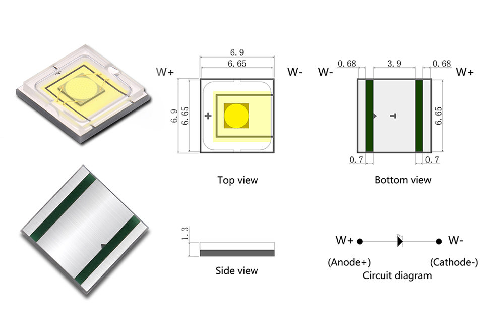 正背面图与规格图