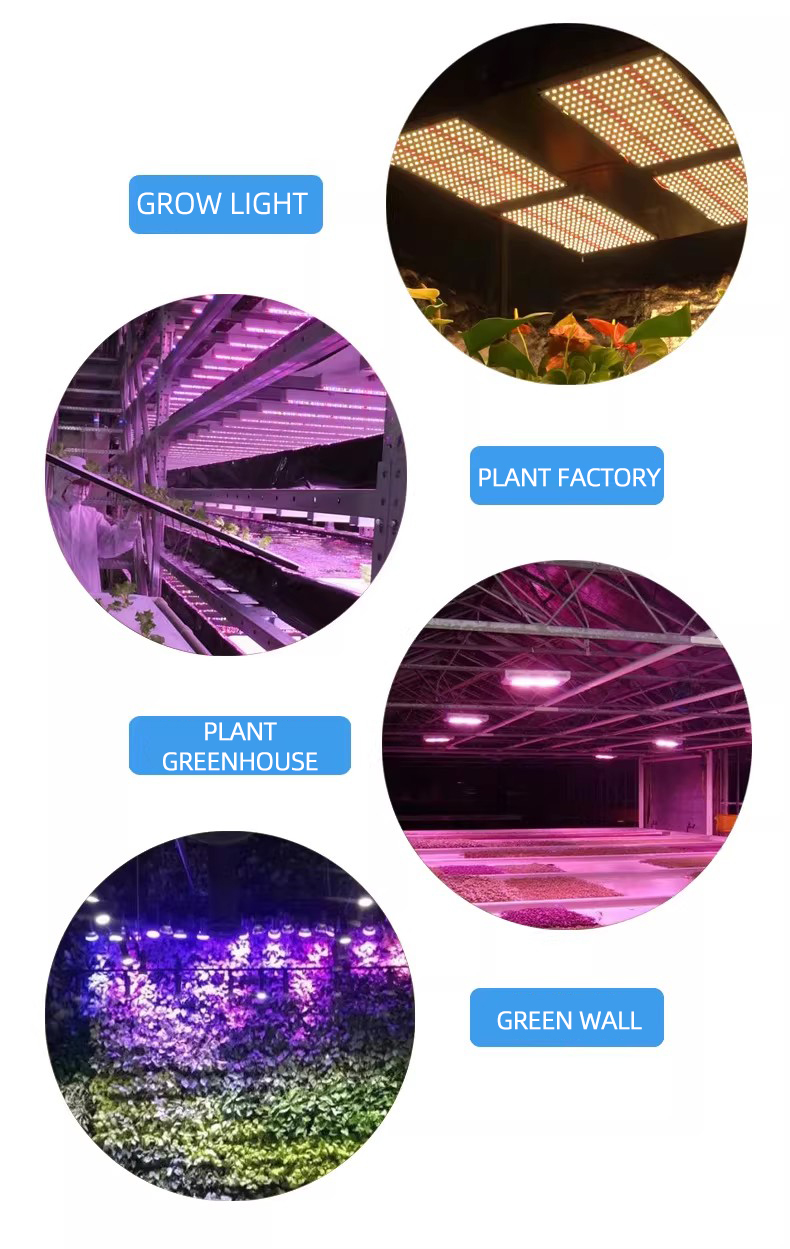 ~!phoenix_varIMG20!~